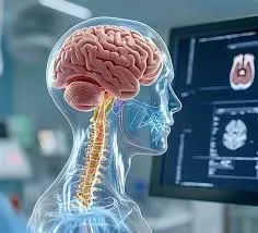 Neurosurgery service image