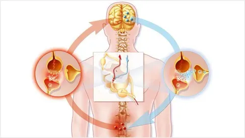 Nerve Pain (Neuropathic Pain) Treatment service image