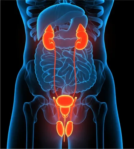 Best Urologist/Urology Hospital in Pune and PCMC  service image