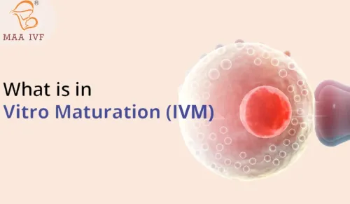 IVM (IN VITRO MATURATION)  service image
