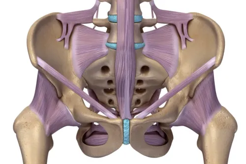 Pelvic Fracture Treatment service image