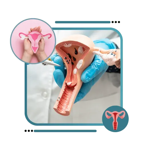 Female Genital Cosmetic Surgery service image