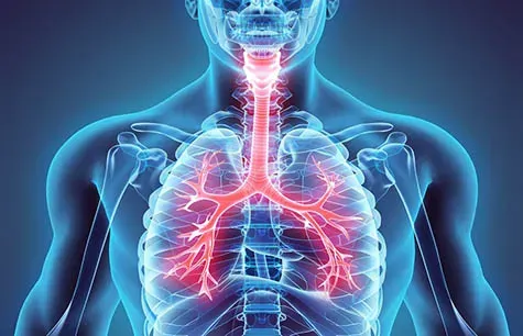 Respiratory Medicine service image