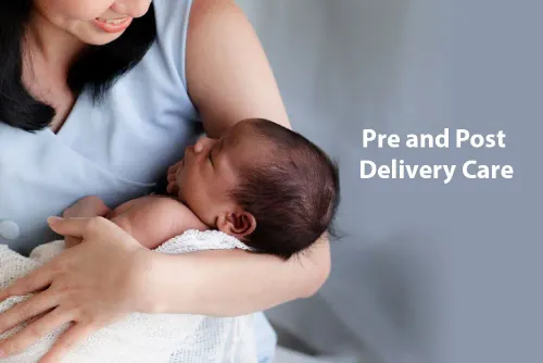 Pre & Post Pregnancy Care Services service image