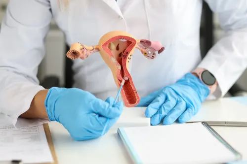 Hysterectomy Treatment service image