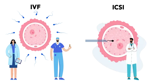 IVF / ICSI Treatment  service image