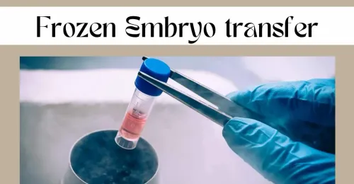 Embryo Transfer (FET) service image