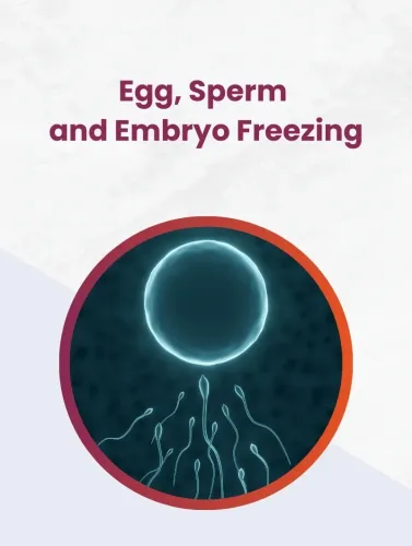 Sperm / Egg Freezing (Fertility Preservation) service image