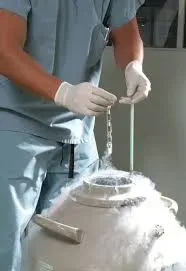 Embryo Freezing (Cryopreservation) service image