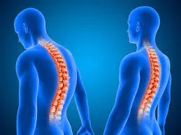 Spine & Postural Correction service image