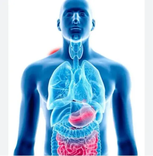 Laparoscopic Surgeon service image