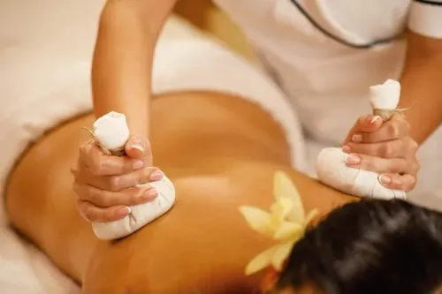 Panchakarma Therapy service image