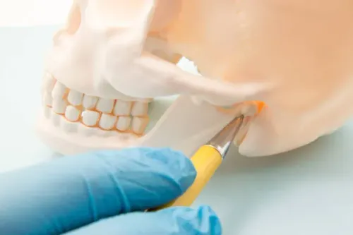 Management of Temporomandibular Joint Disorders service image