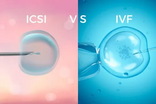 IVF/ICSI service image