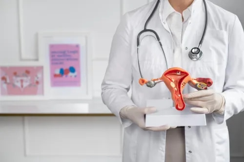 Vulvar Cancer Treatment Specialist in Baner, Pashan, Aundh, Balewadi, Pune service image