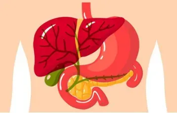  Endoultrasound Doctor in Baner, Balewadi, Pune service image