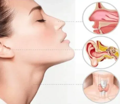 ENT Specialist Coimbatore service image