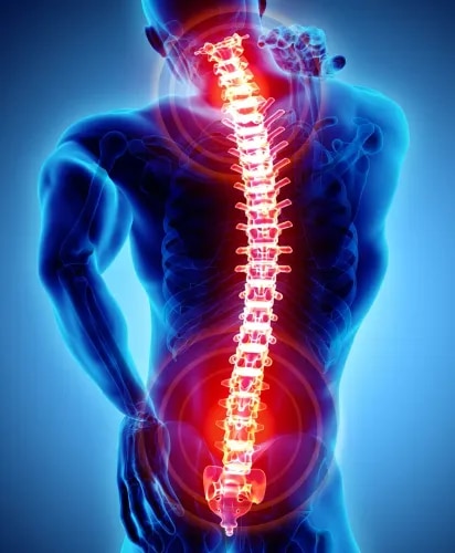 Osteopathy Treatment

 service image