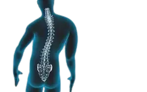 Spinal Deformities Treatment in Pune service image