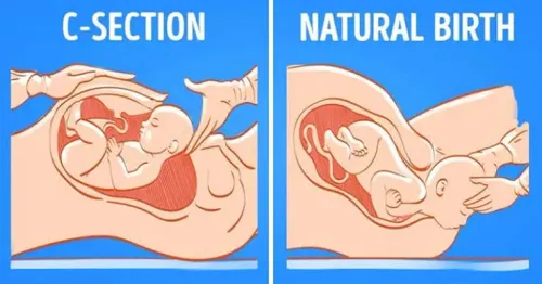 Normal Delivery Doctor  service image