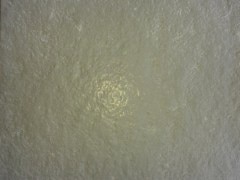 Best for your landscaping