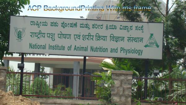 We also undertake turnkey projects of your entire signage requirements that includes indoor & outdoor signage’s, branding & merchandising.We are in this field since last 18 years and are known by our clients for our reliable and quality services.