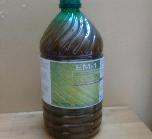 EM probiotics technology utilizes beneficial Microbes to repopulate environment with healthy microorganisms, thereby providing sustainable solutions without creating any downstream problems.