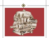 Worm Gear 