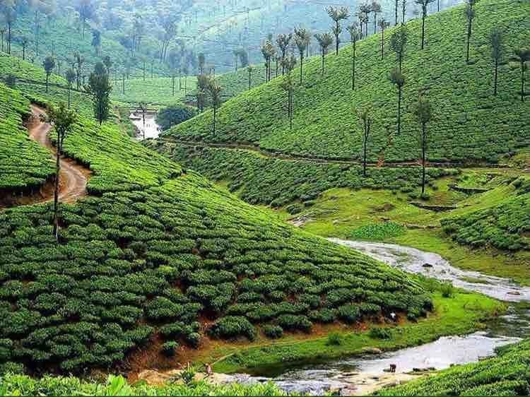 Kerala package