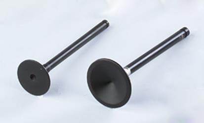 Nitrite Engine Valves