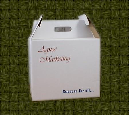 CARRY TYPE BOX WITH PRINTED