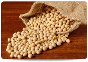 Non Gmo (Organic) Soybean product image