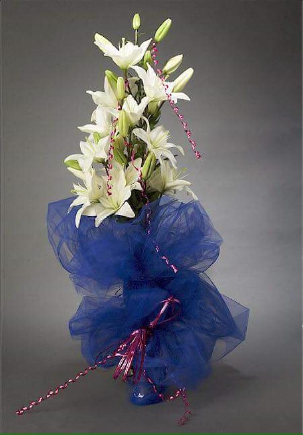 Ashok Flowers And Events in Indore, India