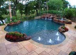 Swimming Pool Contractor