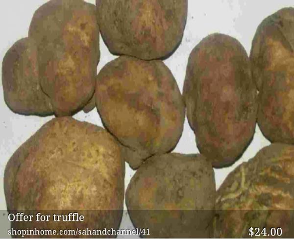 Offer for truffle