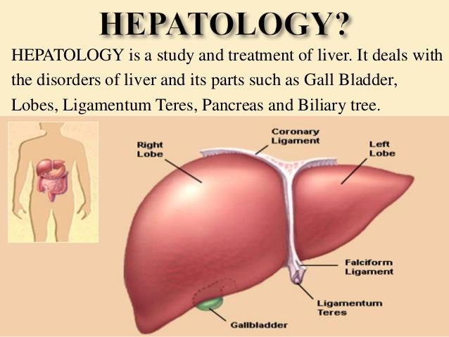 Hepatology