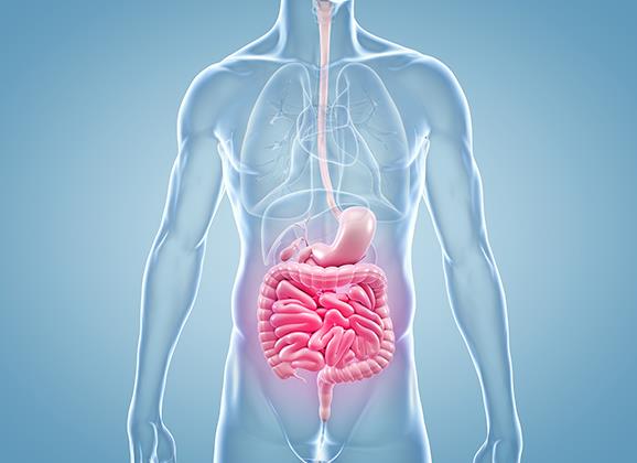 Gastroenterology