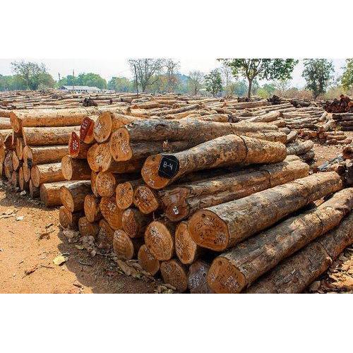 n order to keep pace with never ending demands of the customers, our company is instrumental in offering Indian Teak Wood.	