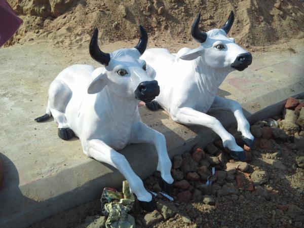 FRP Cow sitting Statue Size - 3 feet 6 inches Material: Made of high grade Fiber/FRP material. Application : Amusement park, Banquets, Resorts, Park, shopping malls, supermarkets or restaurants, school, residential communities, kindergartens, and other kinds of amusement application. Call : +91 9432170021, +91 9433549439 Mail : abhishekartskolkata@gmail.com We also make fiber duck statue, FRP deer statue, fiberglass beer sculpture, camel statue, FRP crocodile statue, fiberglass cow statue, Zebra, Giraffe statue, Horse statue, fiber kangaroo statue, Fiberglass Tiger Statue, Monkey statue, Leopard statue, Owl Sculpture, Eagle statue, Bird statue, Fiber Elephant statue, Rabbit statue, Rhino statue, fiber peacock statue, fiber lion statue, FRP Dinosaur statue, fiber sheep statue for park.