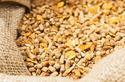 Poultry Feed EnzymeYour Turn Key Animal Health & Nutrient Supplement ManufacturerWe offer two option to serve our clients needs. One is our finished product & second is to customized formulation as per their required specification. Our Company offers sustainable Animal Health & Nutrition products such as quality feed additives and premixes, which solutions for natural growth promoting concept as well as other specific solutions which address dietary requirements for swine, poultry, dairy and cattle as well as aquaculture.We are manufacturing Animal Health & Nutrient Customized Products as per their required specification in liquid as well as powder formed.