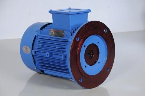 Vertical Hallow Shaft Motor