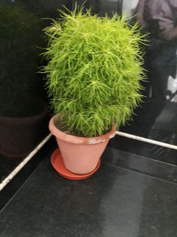 Nice product for the summer season