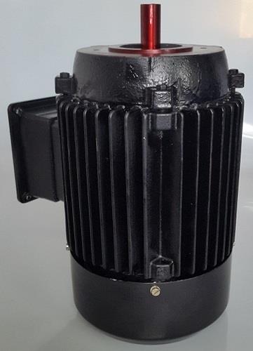 Product details:        Design and performance as per IS 996 & IS 325 & IS 12615        Specifications are conforms to IS 1231, IS 2223        Three phase 380V-415V supply and 50 Hz frequency        Speed – 3000 RPM        Increased Efficiency        Vacuum Pressure Impregnation treated        ‘F’ Class Insulation        Totally Enclosed fan cover        IP 55 protection as per request        Double side shield high quality imported bearing for long life        Dynamically balanced rotors ensure vibration free and noiseless Operation 