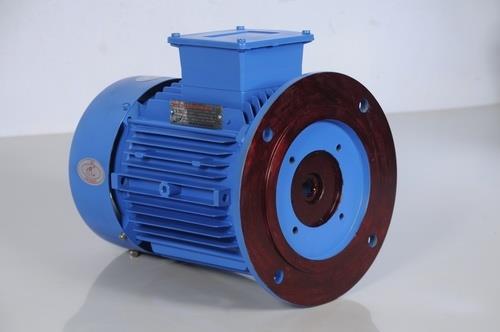 Vertical Hallow Shaft Motor