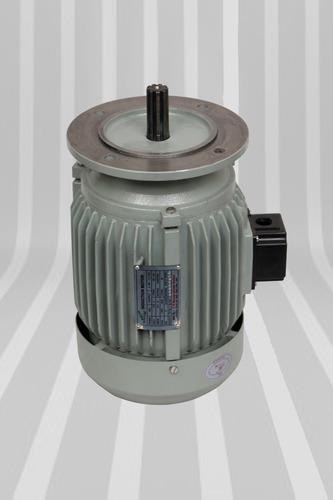Floating Aerator Motors