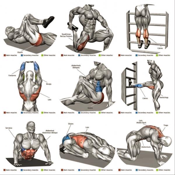 WORKOUT SCHEDULE
