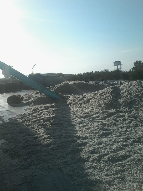 Purpose :1. Expiller 2. Feeding Conveyor 3. Nutelicer and Rotater 4. Seed Storage platform 5. Oil Storage TankProduction Capacity : For a day 5 to 8 ton Power : 90 HPPrice : Rs 30 Laks Per Unit 