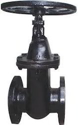 Approx. Price: Rs 2,500 / OnwardsSize	DN mm	50 to 600Test pressure	Body (Hyd.) : 1.5 & 2.4 MPASeat (Hyd.) : 1.0 & 1.6 MPAMaterial	Cast IronEnd	Flanged End.