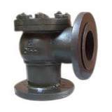 Angle Check Valve ( IBR / ISI )