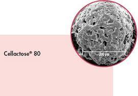 Pat Impex is a importer & suppliers of Meggle excipients Cellactose 80  Generic name - Compound of lactose & powdered cellulose. In an effort to obtain synergistic effects, such as improved tablet hardness and adherence capacity, by co-processing both excipients, spray-drying was used in order to bring lactose and cellulose together.